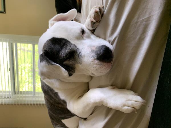 /Images/uploads/Four Footed Friends/FourFootedFriends/entries/18498thumb.jpg